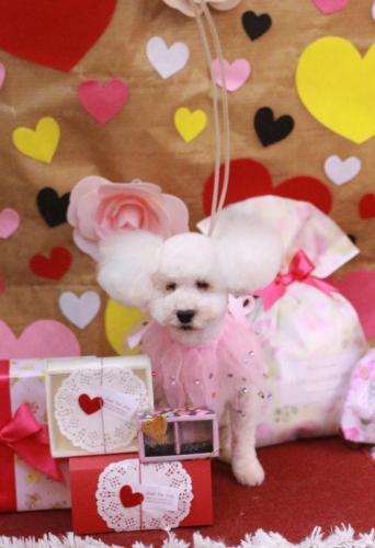 20230203あんちゃん